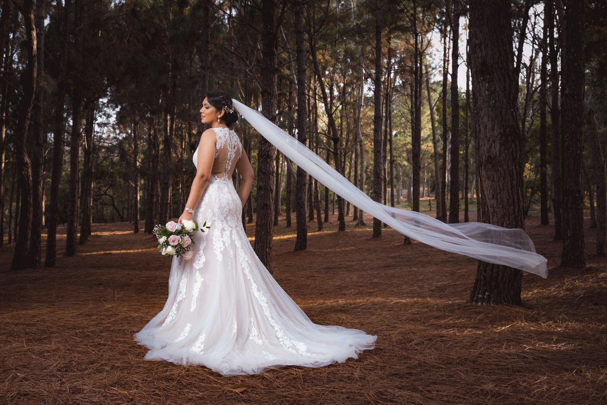 carousel-hero-element image-0